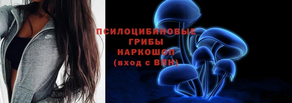 герыч Лагань