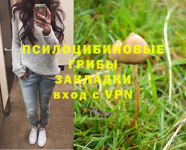мяу мяу мука Лабытнанги