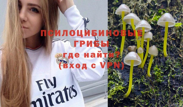 мяу мяу мука Лабытнанги