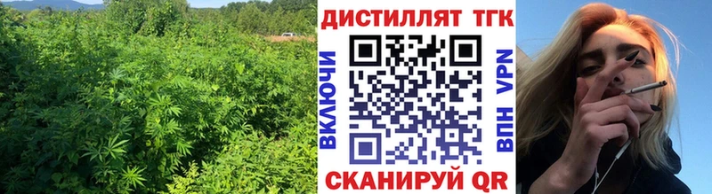ТГК гашишное масло  Купить закладки  Очёр 